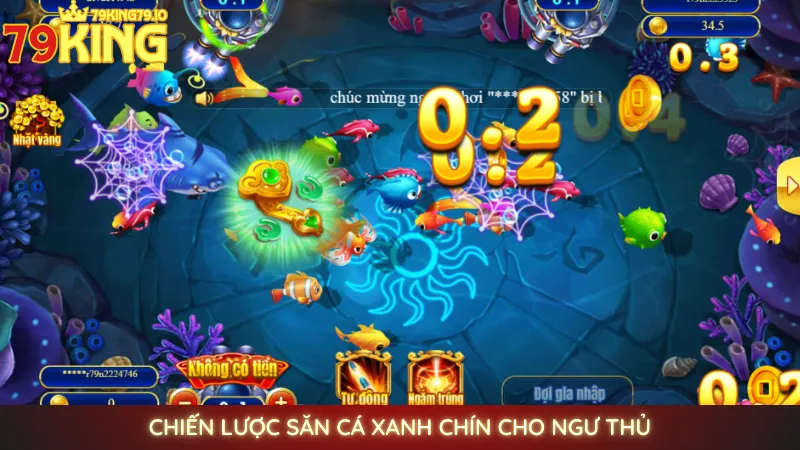 Bắn cá JDB - Săn rồng vàng, thưởng khủng cùng 79king 4 Chiến lược săn cá xanh chín cho ngư thủ