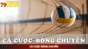 Cá cược bóng chuyền