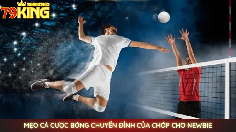 Cá cược bóng chuyền | Bắt kèo chuẩn giải VĐQG tại 79king 4 Mẹo cá cược bóng chuyền đỉnh của chóp cho newbie