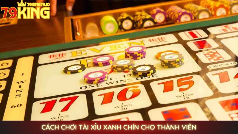 Chơi tài xỉu online 79king | Cầu đẹp, dễ bắt vị thắng lớn 4 Cách chơi Tài Xỉu xanh chín cho thành viên