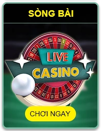 Trang chủ 19 casino 79king